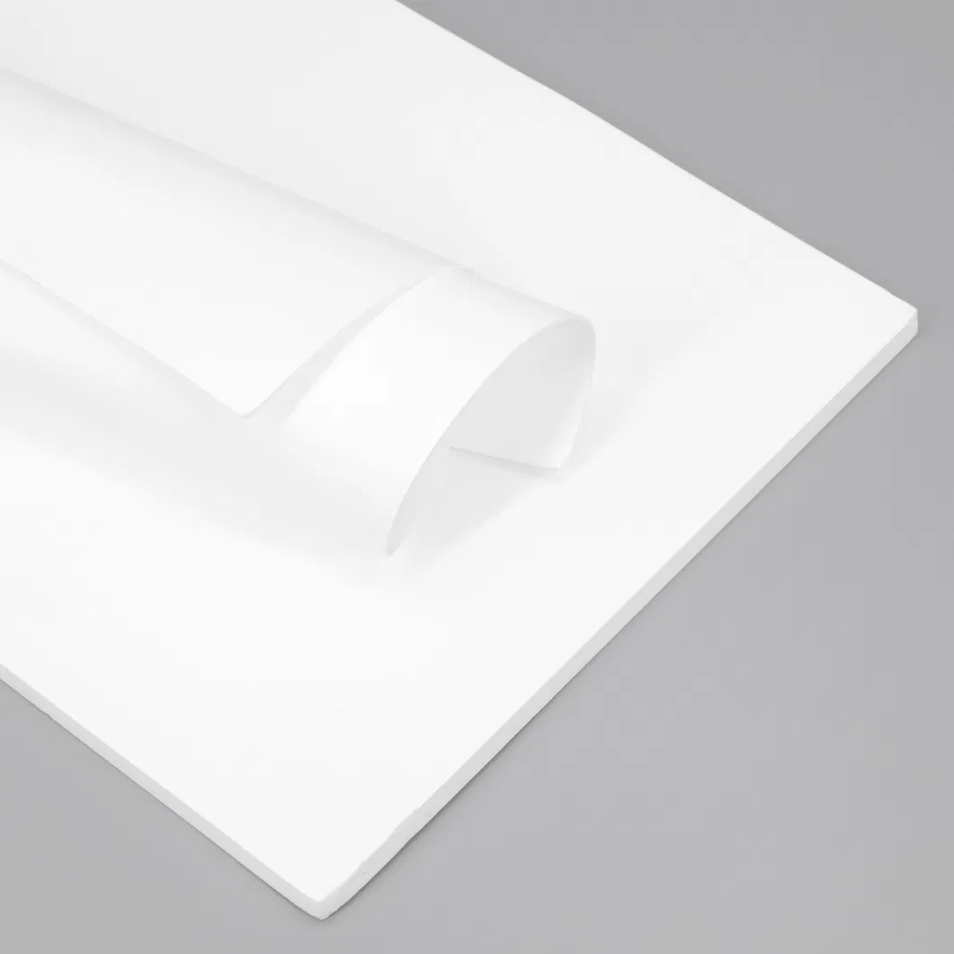 PTFE Expanded Sheet Soft Flexible Sheet