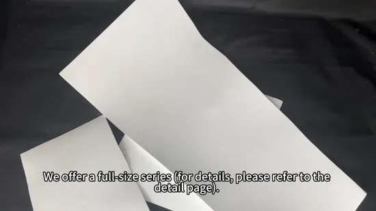 Premium Customized Thin Flexible Expanded PTFE Plastic Sheets 